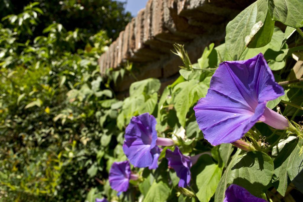 Catorceonce Bed & Breakfast Талька Экстерьер фото